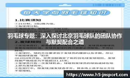 羽毛球专题：深入探讨北京羽毛球队的团队协作与默契配合之道
